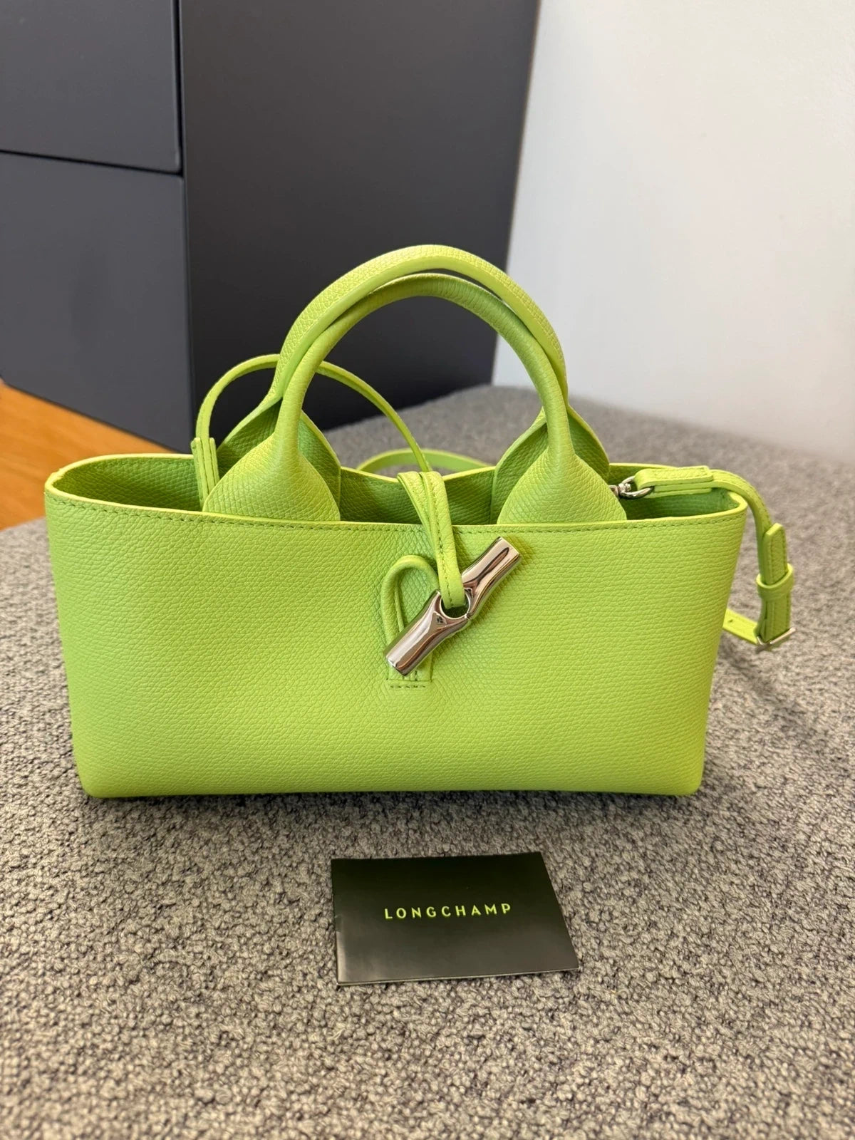 Longchamp Roseau East West light green leather bag
